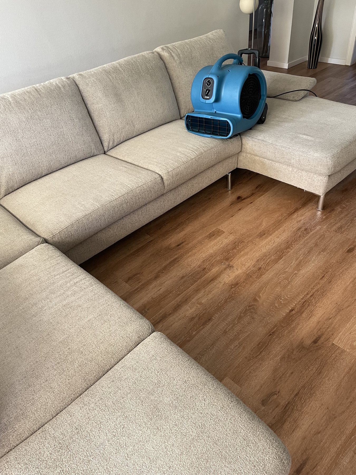 Helles Ecksofa nach der Reinigung mit Trocknungsgerät