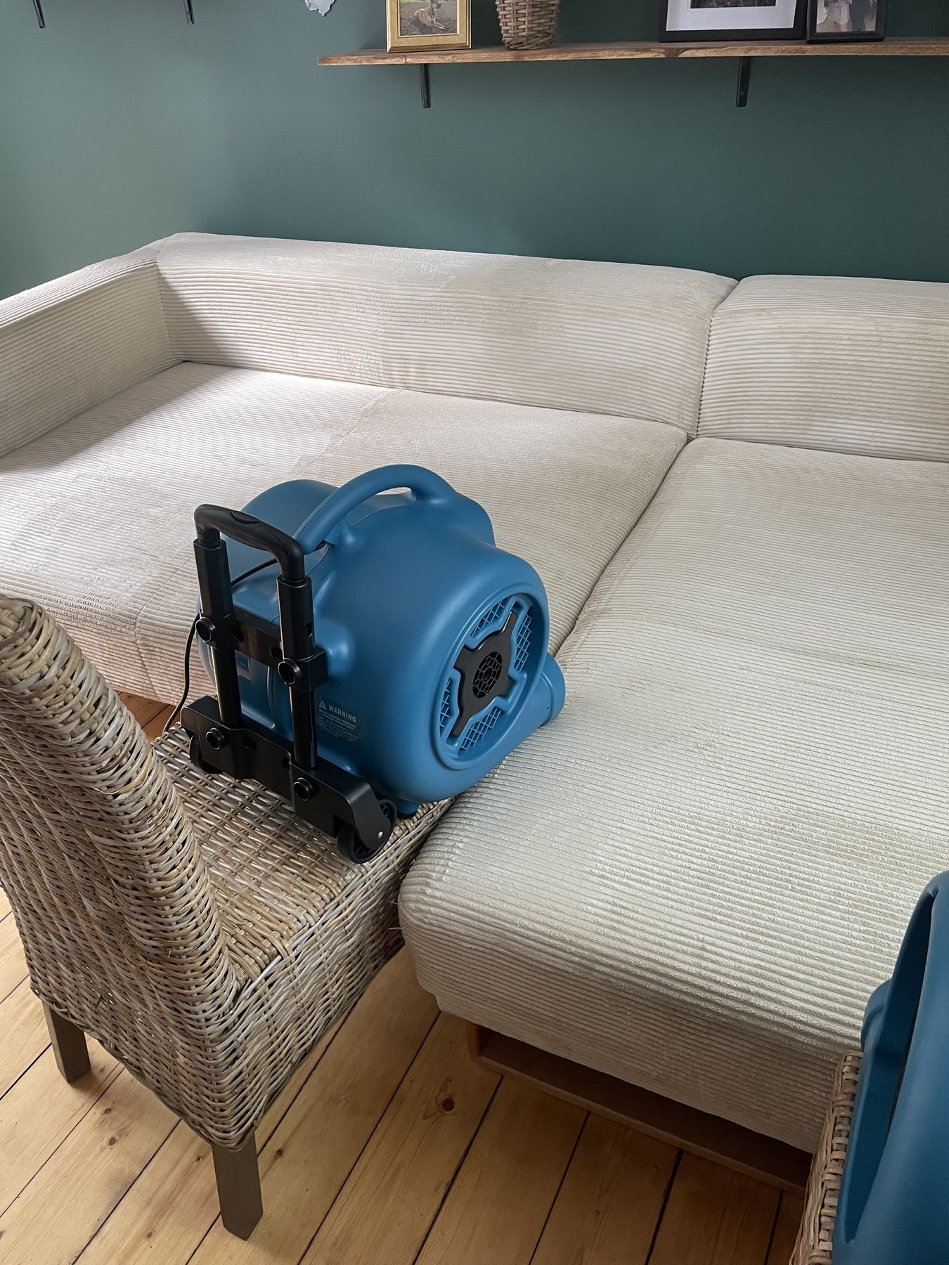 Helles Cordsofa nach der Reinigung