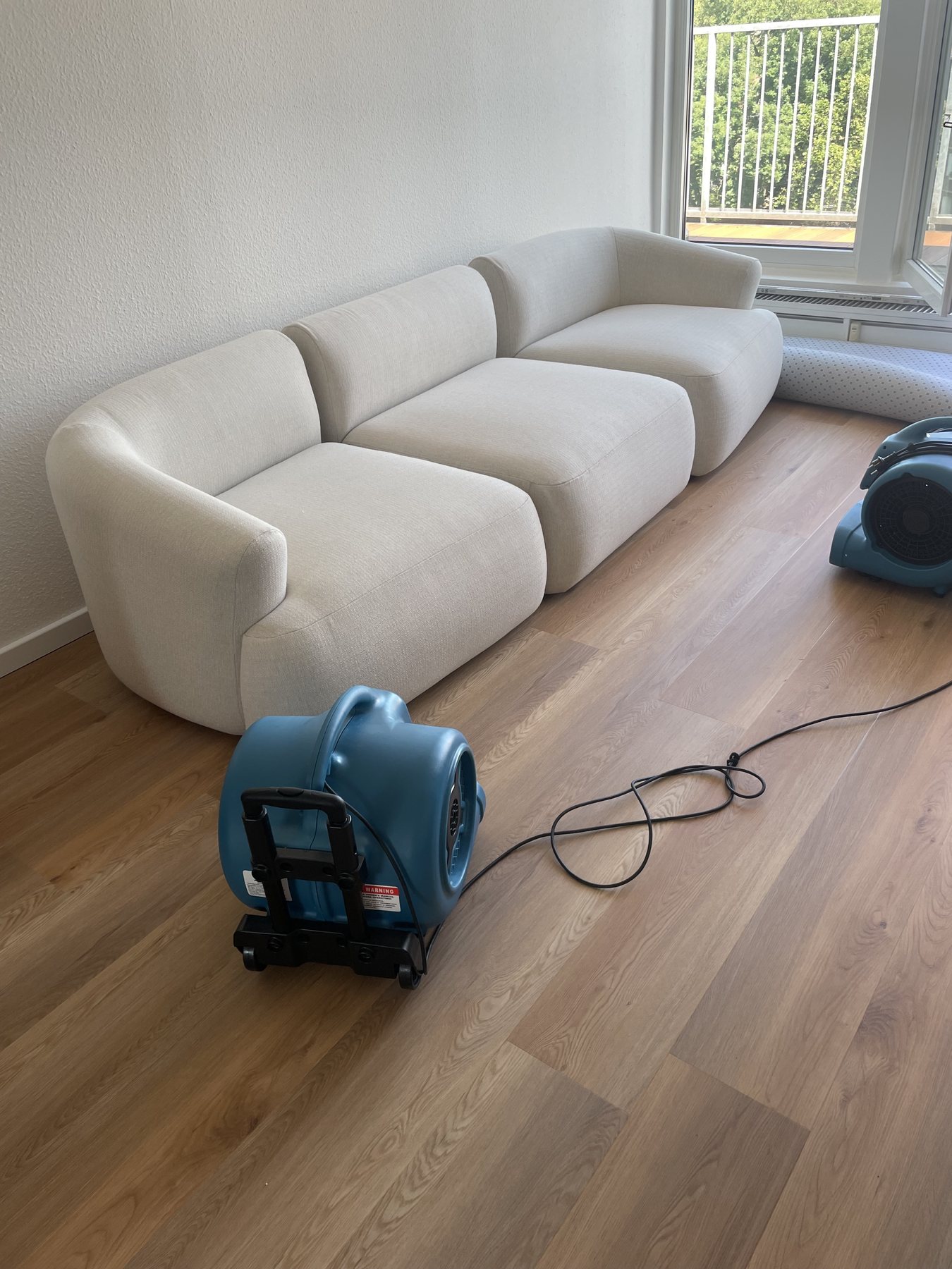 Modernes helles Sofa nach der Reinigung